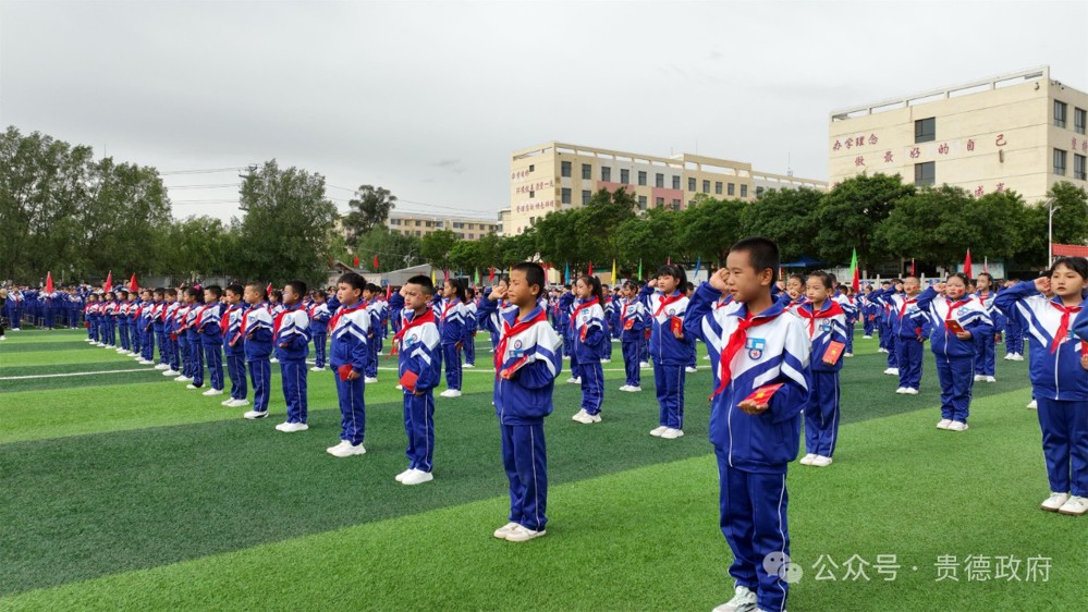 微信图片_20240603100845