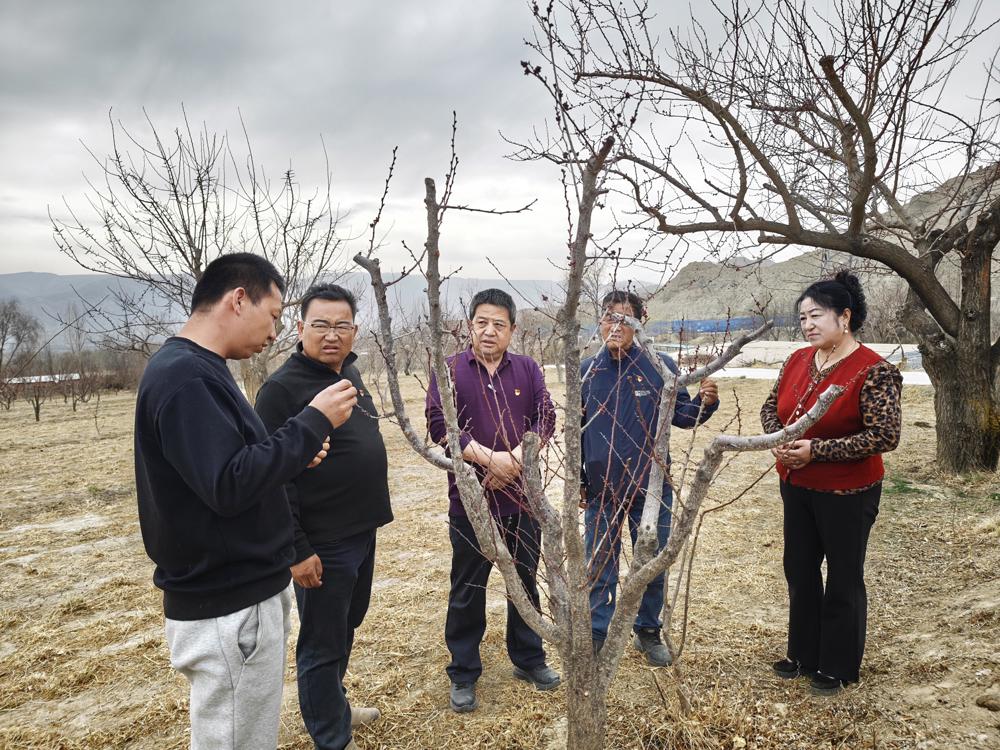 500417855_57d98a83-91b7-44ae-880a-17c1e5c1067a