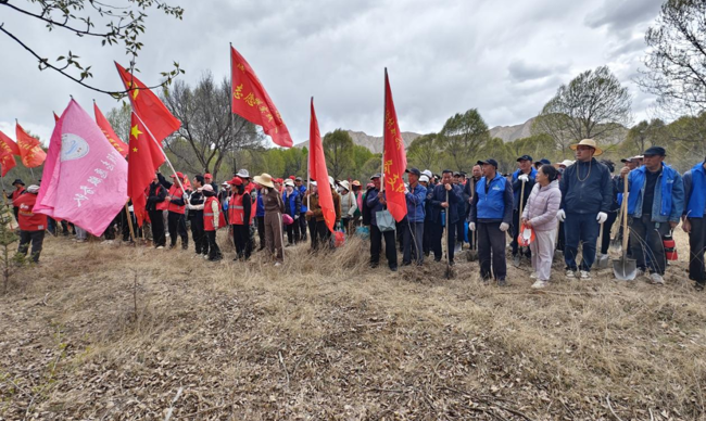 “十化”党建在山水间  生命树添绿蓝天下