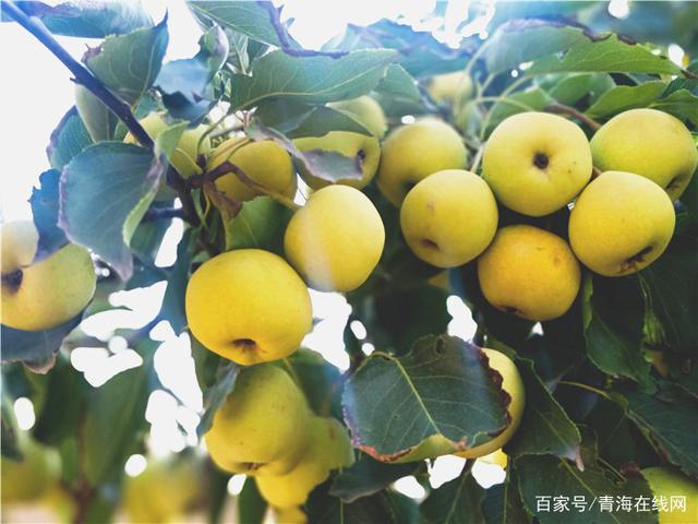 https://pics1.baidu.com/feed/7e3e6709c93d70cfa78e7cbc2394b407bba12bdf.jpeg?token=33f0dc2b64f5847a55d159217d4be9b6